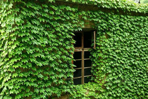 China-nature-village