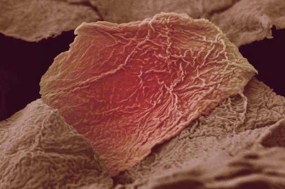 Microscopic-images
