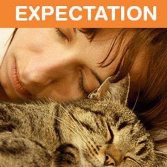Owning-Cat-Expectations