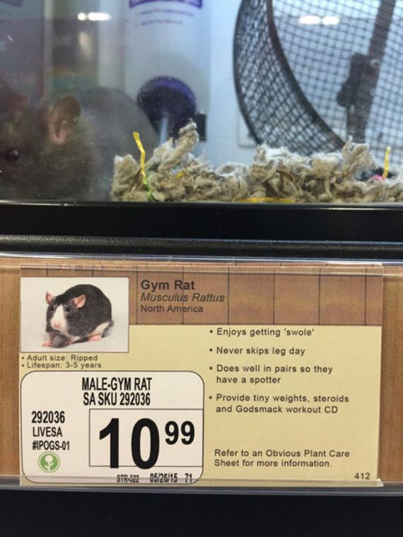 Pet-Store