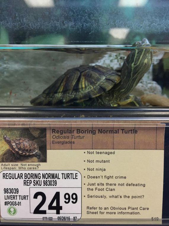 Pet-Store