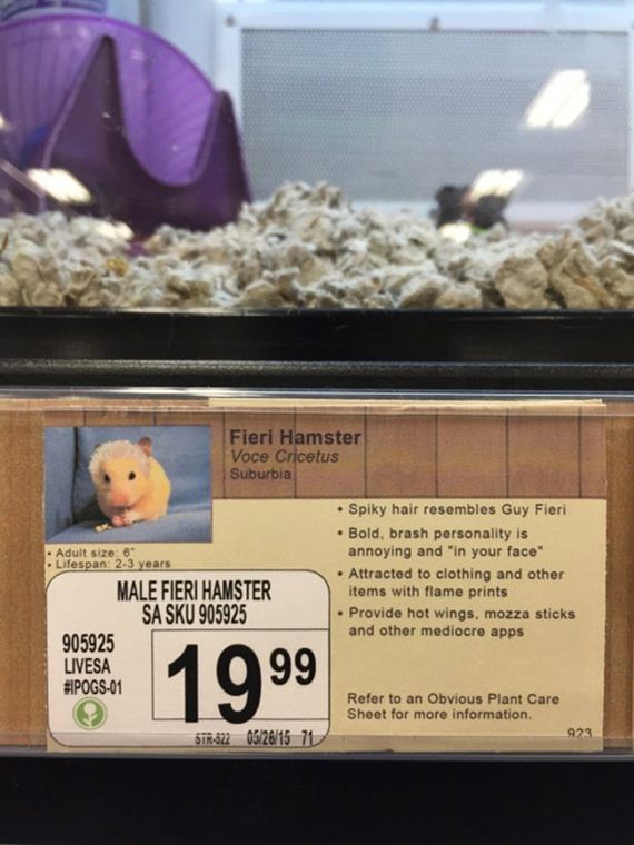 Pet-Store