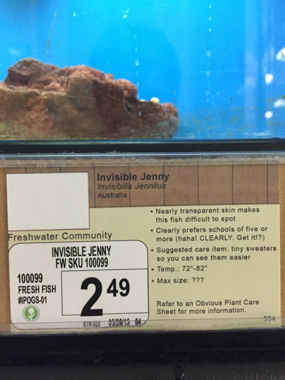 Pet-Store