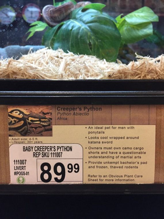 Pet-Store