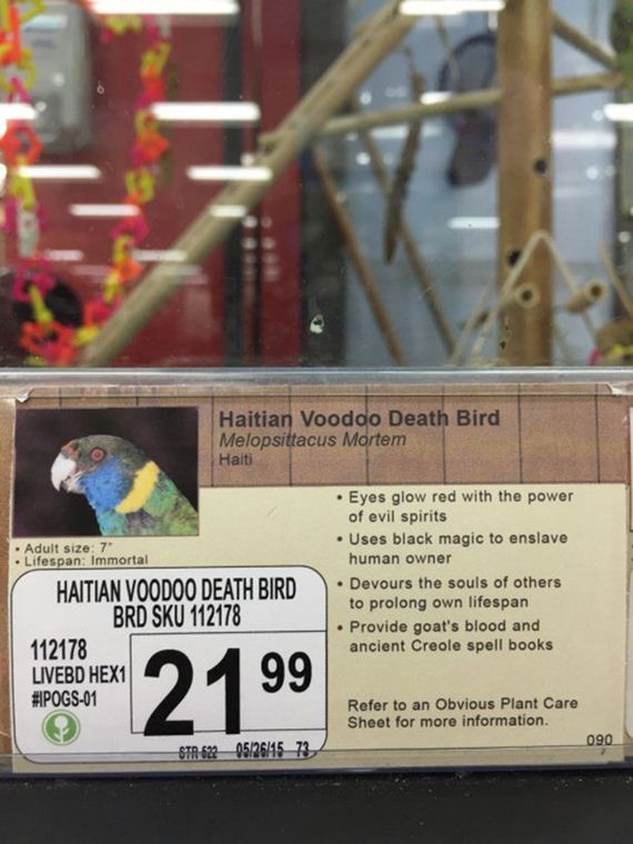 Pet-Store
