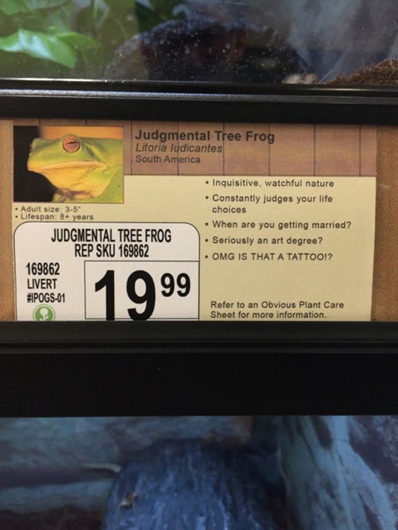 Pet-Store