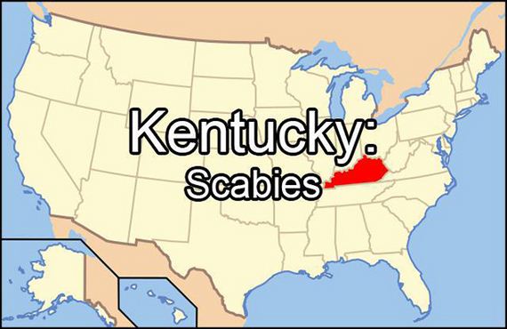 Popular-Google-Searchs