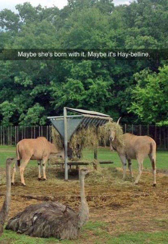 Puns-Managed