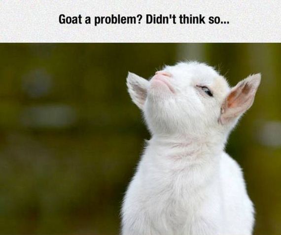 Puns-Managed