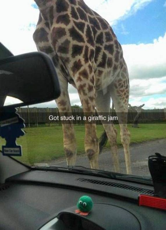 Puns-Managed