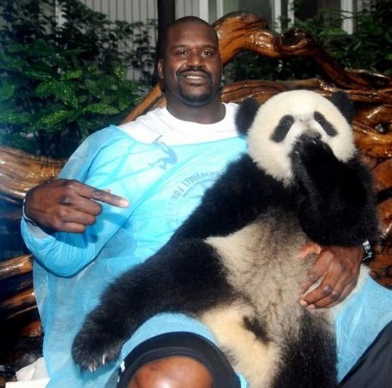 Shaq-Holding-Things