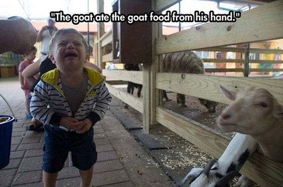 Summarizes-Parenthood