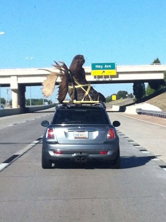 You-Might-Be-Doing