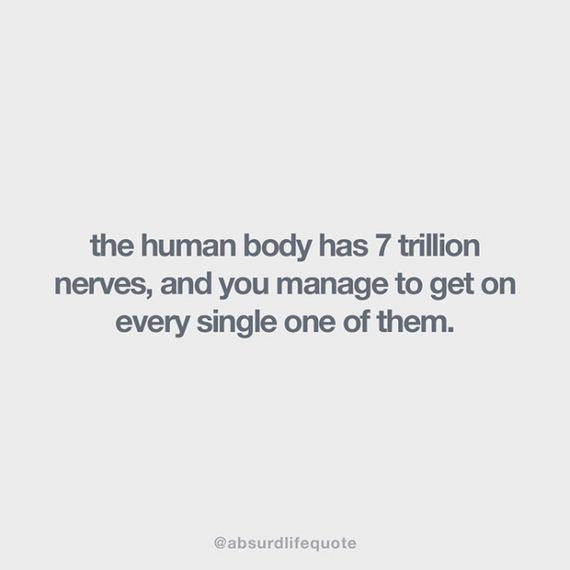 absurd_life_quotes