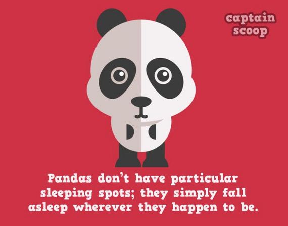 amazing_facts_animals
