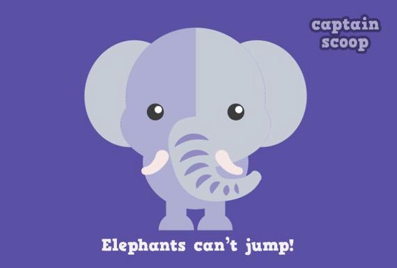 amazing_facts_animals