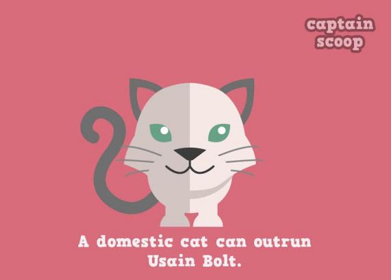 amazing_facts_animals