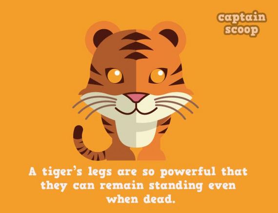 amazing_facts_animals