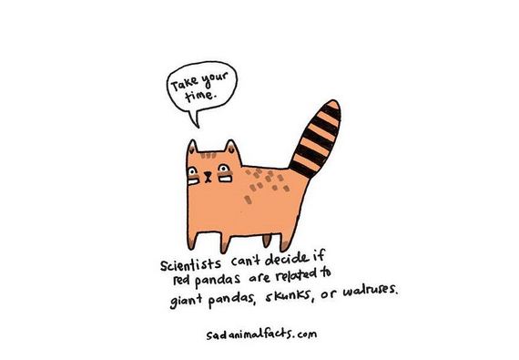 animal-facts