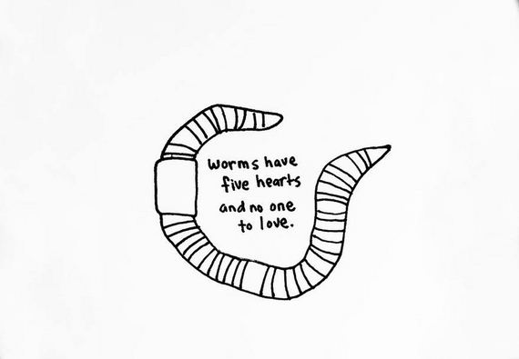 animal-facts