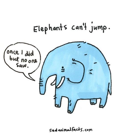 animal-facts