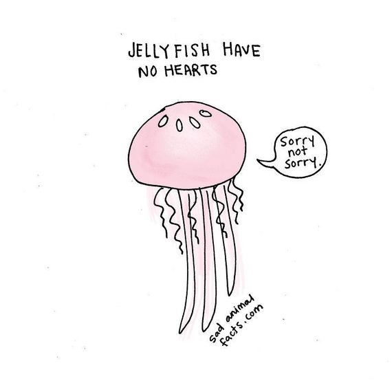 animal-facts