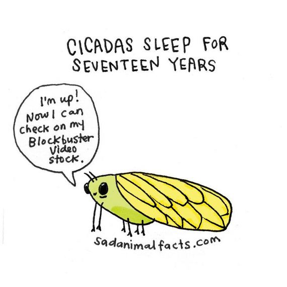 animal-facts