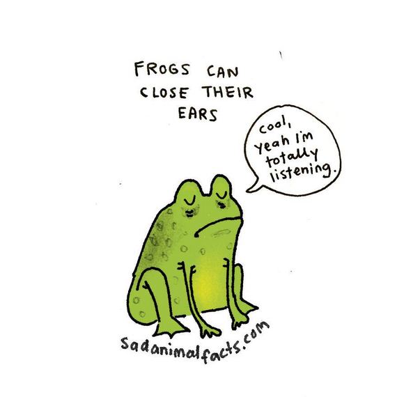animal-facts