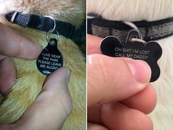 animal-tags
