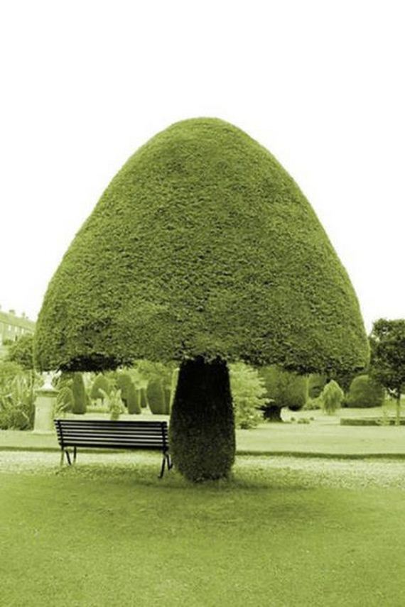 awesome_photos_48