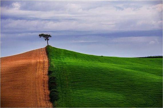 awesome_photos_48