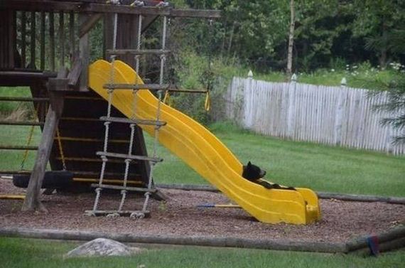 awesome_photos_48