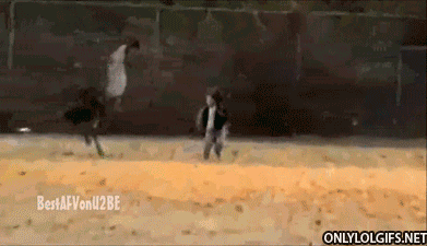 birds-being-aholes