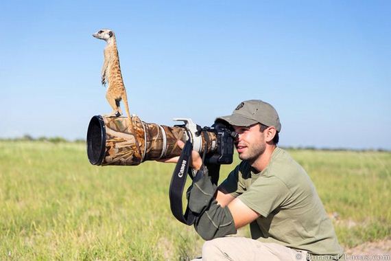 cameras_animals_helping