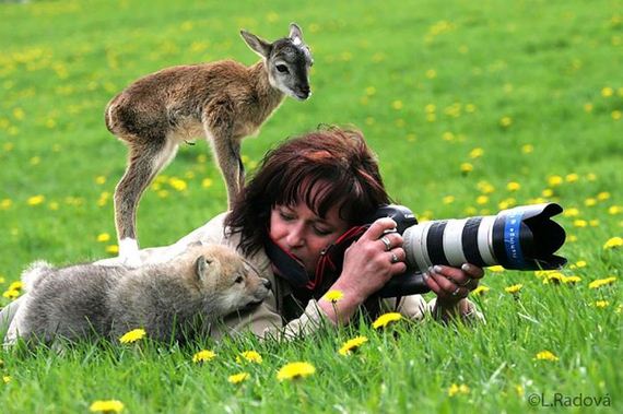 cameras_animals_helping