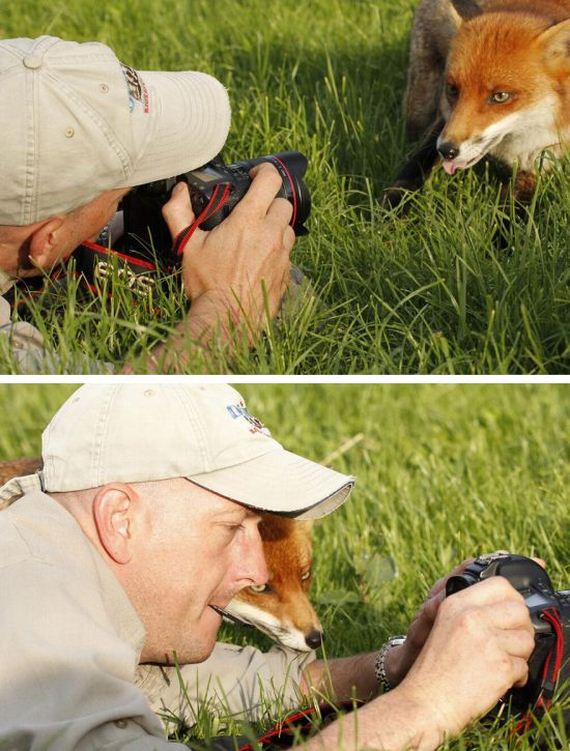 cameras_animals_helping