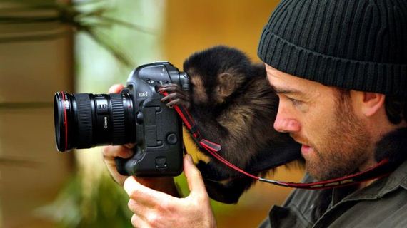 cameras_animals_helping