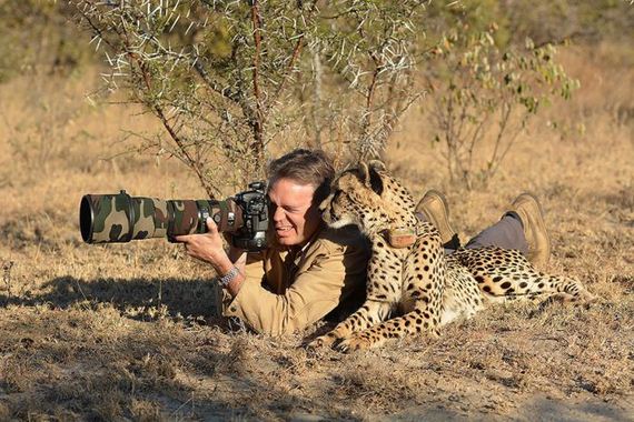 cameras_animals_helping