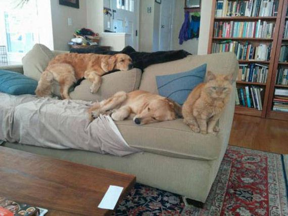 can_you_spot