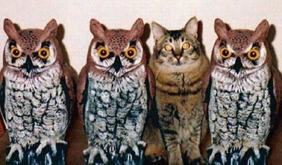 can_you_spot