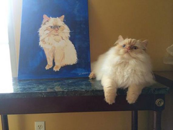 cats-000