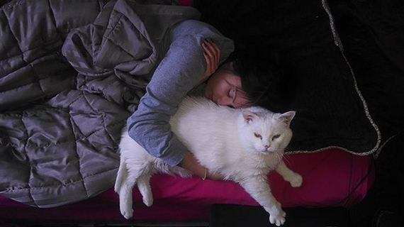 cats-000