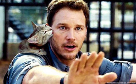 cats-jurassic-park-0