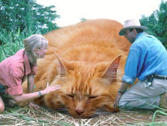 cats-jurassic-park-0
