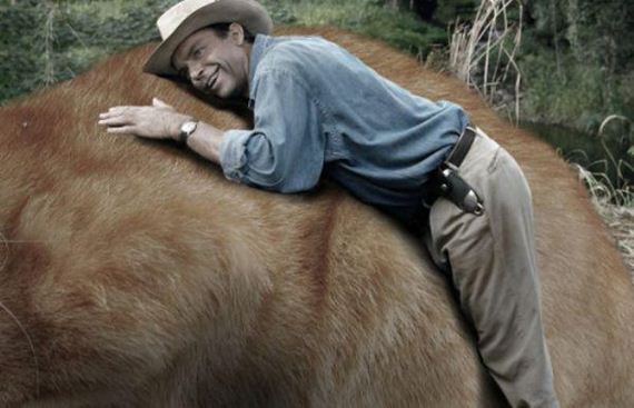 cats-jurassic-park-0