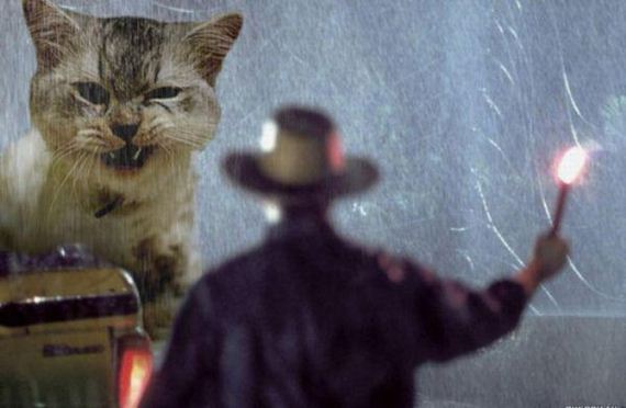 cats-jurassic-park-0