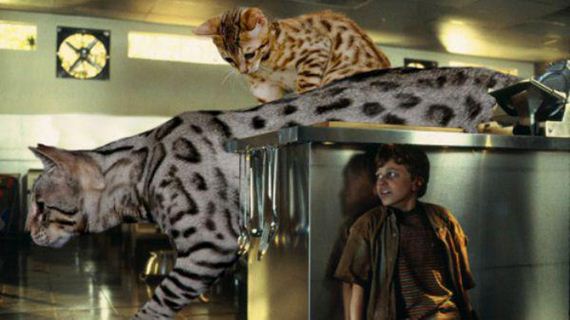 cats-jurassic-park-0