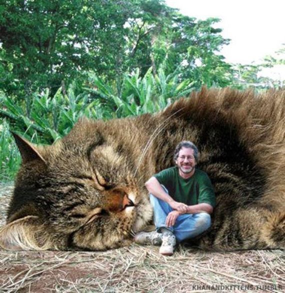 cats-jurassic-park-0