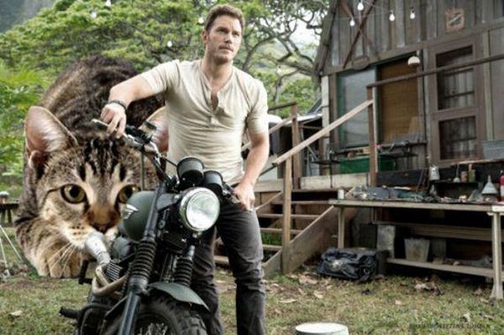 cats-jurassic-park-0