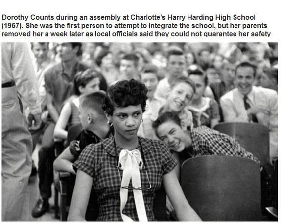 collected_from_history